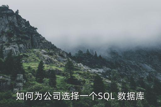 企業(yè)處理大數(shù)據(jù)庫(kù),企業(yè)一般用什么數(shù)據(jù)庫(kù)