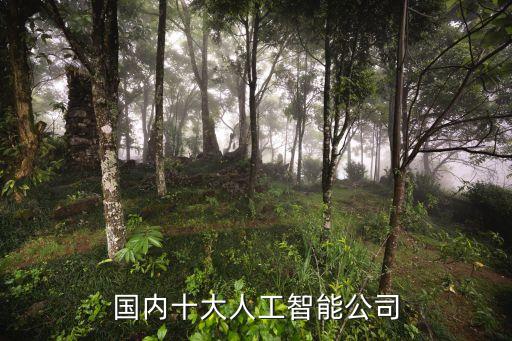國(guó)內(nèi)十大人工智能公司