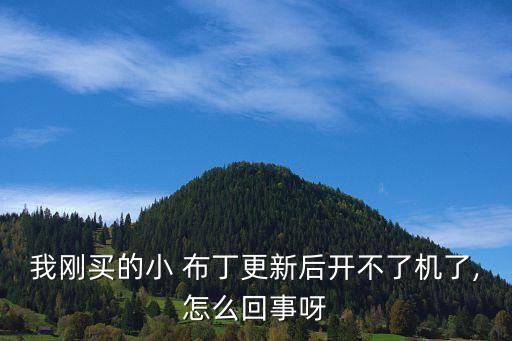 布丁s機(jī)器人售后,布丁機(jī)器人app官方下載