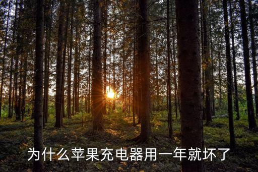為什么蘋果充電器用一年就壞了