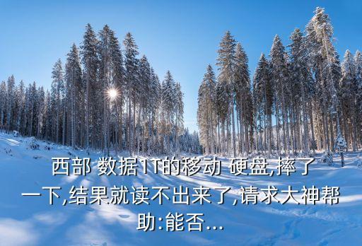  西部 數(shù)據(jù)1T的移動(dòng) 硬盤(pán),摔了一下,結(jié)果就讀不出來(lái)了,請(qǐng)求大神幫助:能否...