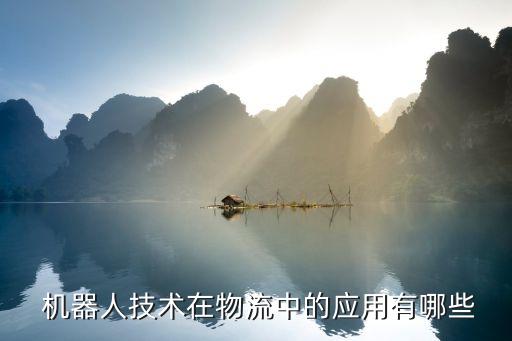  機器人技術(shù)在物流中的應(yīng)用有哪些