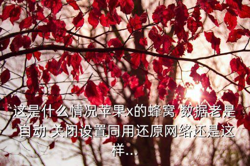 這是什么情況蘋果x的蜂窩 數(shù)據(jù)老是 自動 關(guān)閉設(shè)置同用還原網(wǎng)絡(luò)還是這樣...