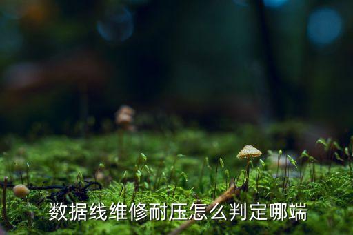  數(shù)據(jù)線維修耐壓怎么判定哪端