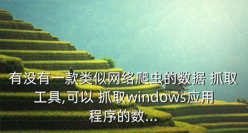 有沒有一款類似網(wǎng)絡爬蟲的數(shù)據(jù) 抓取工具,可以 抓取windows應用程序的數(shù)...