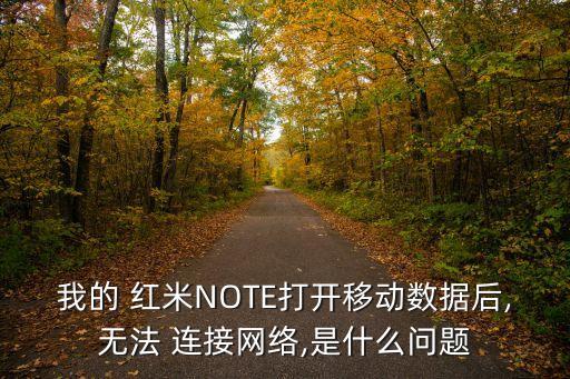 紅米手機(jī)設(shè)置數(shù)據(jù)連接不上怎么辦啊