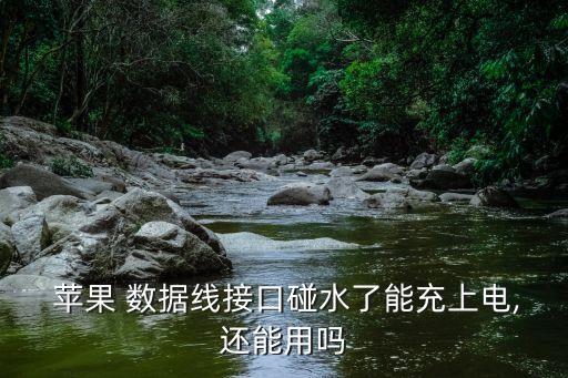 蘋果數(shù)據(jù)線融掉了