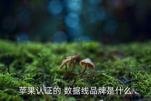 iwalk數(shù)據(jù)線
