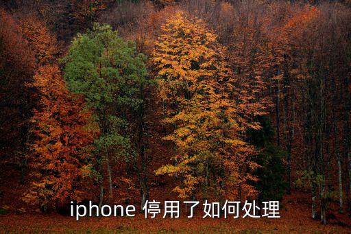 iphone 停用了如何處理