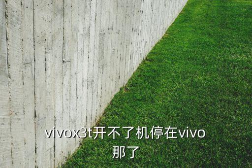 vivox3t開不了機(jī)停在vivo那了
