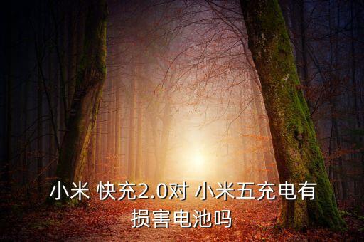 小米5快充數(shù)據(jù),小米快充數(shù)據(jù)線可以用普通接頭嗎?