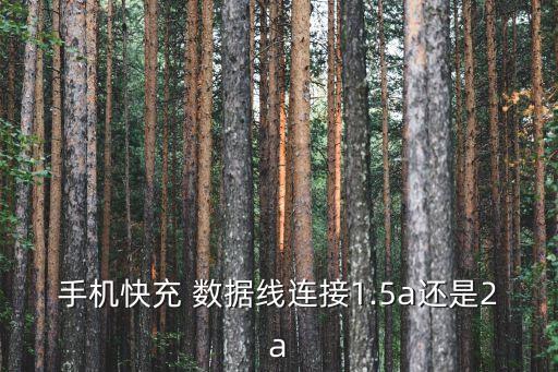 手機(jī)快充 數(shù)據(jù)線連接1.5a還是2a