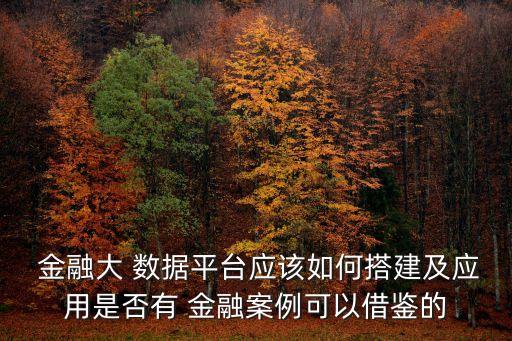  金融大 數(shù)據(jù)平臺應該如何搭建及應用是否有 金融案例可以借鑒的