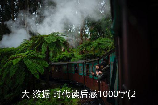 大 數(shù)據(jù) 時(shí)代讀后感1000字(2