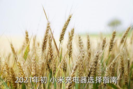 小米9快充加長數(shù)據(jù)線,小米1155w快充數(shù)據(jù)線是幾a