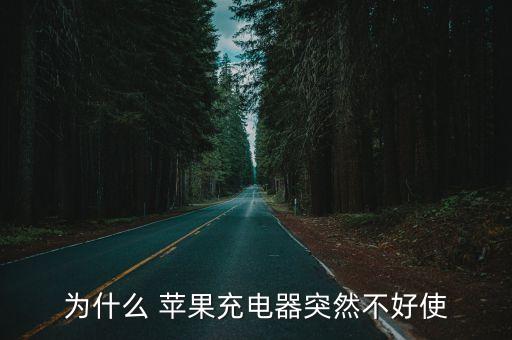 為什么 蘋(píng)果充電器突然不好使