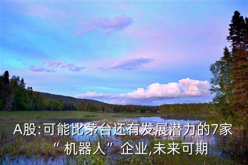 A股:可能比茅臺還有發(fā)展?jié)摿Φ?家“ 機器人”企業(yè),未來可期