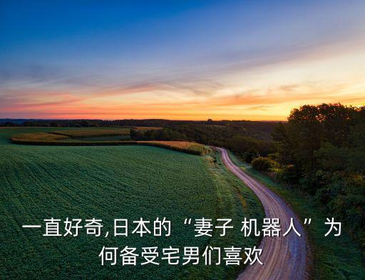 一直好奇,日本的“妻子 機器人”為何備受宅男們喜歡