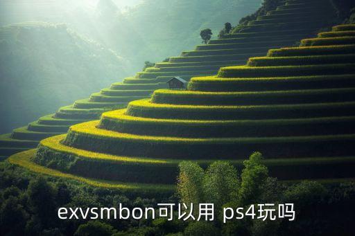 exvsmbon可以用 ps4玩嗎