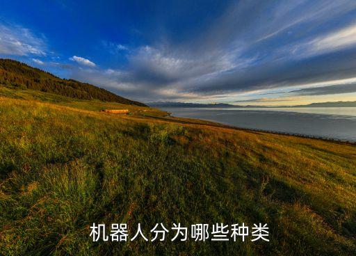 人工智能機(jī)器人的分類