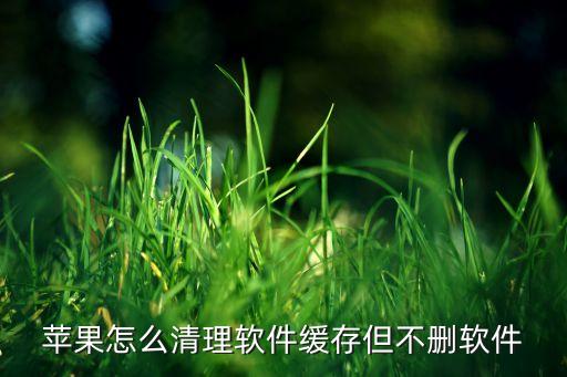 蘋(píng)果怎么清理軟件緩存但不刪軟件