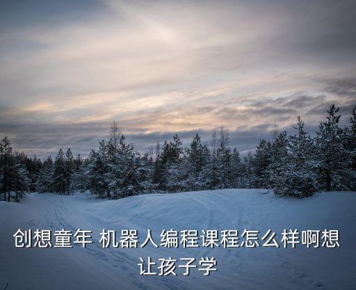 少兒機(jī)器人