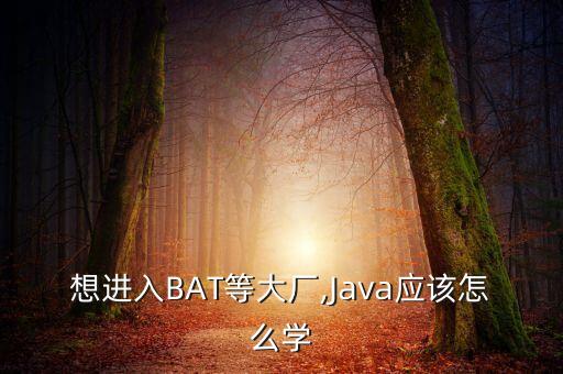 bat和大數(shù)據(jù)庫,數(shù)據(jù)庫bat文件