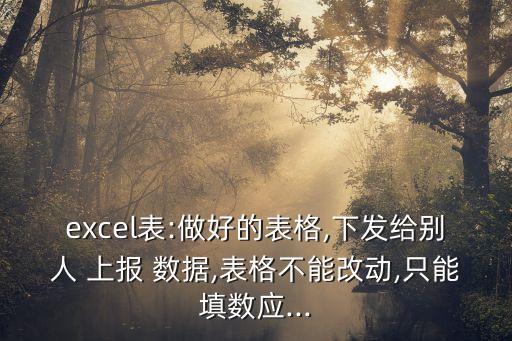 excel表:做好的表格,下發(fā)給別人 上報 數(shù)據(jù),表格不能改動,只能填數(shù)應...