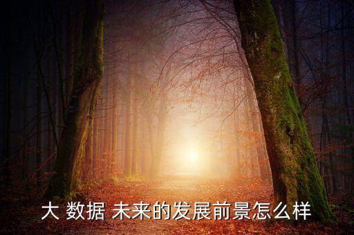 大數(shù)據(jù)是未來發(fā)展趨勢