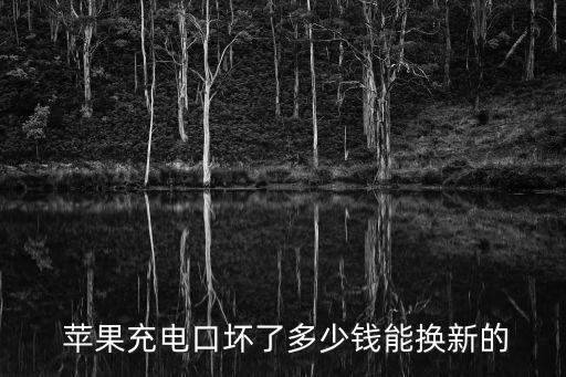 蘋(píng)果手機(jī)數(shù)據(jù)接口壞了,蘋(píng)果數(shù)據(jù)接口和type_c