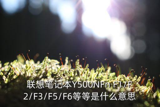 聯(lián)想筆記本Y500NFn F1/F2/F3/F5/F6等等是什么意思