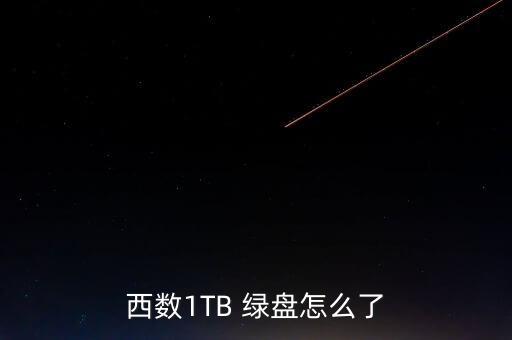 西數(shù)1TB 綠盤怎么了