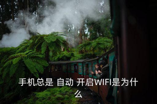 手機(jī)總是 自動(dòng) 開啟WIFI是為什么