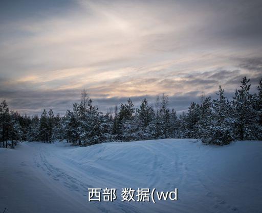 西部數(shù)據(jù)新藍(lán)盤(pán)怎么樣