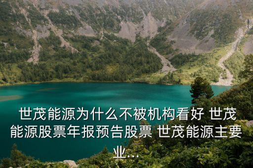  世茂能源為什么不被機(jī)構(gòu)看好 世茂能源股票年報預(yù)告股票 世茂能源主要業(yè)...