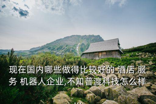 酒店服務機器人行業(yè)分析,300024機器人行業(yè)分析
