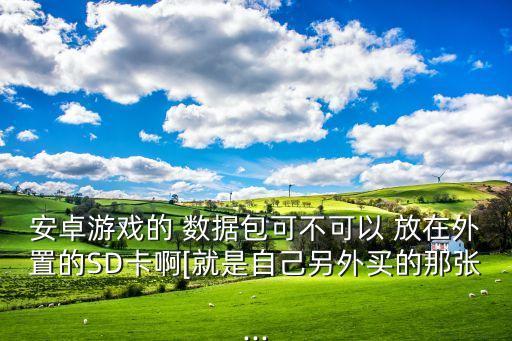 安卓游戲的 數(shù)據(jù)包可不可以 放在外置的SD卡啊[就是自己另外買的那張...