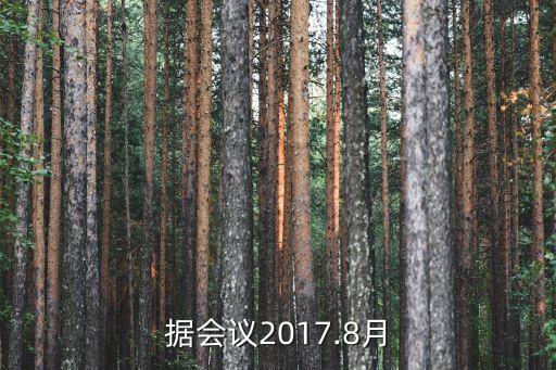 大數(shù)據(jù)會(huì)議2017.8月