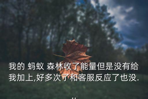 螞蟻森林沒有刷新數(shù)據(jù),怎么查詢螞蟻森林能量數(shù)據(jù)