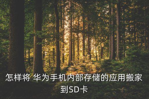 怎樣將 華為手機(jī)內(nèi)部存儲的應(yīng)用搬家到SD卡