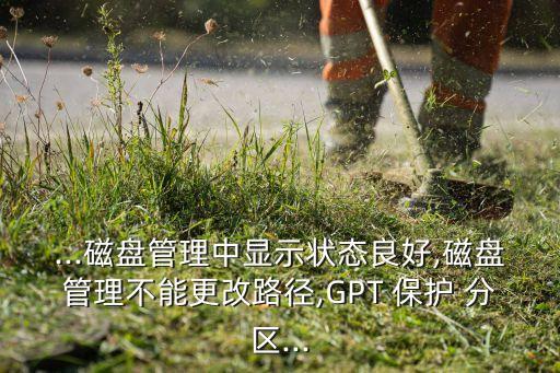 ...磁盤管理中顯示狀態(tài)良好,磁盤管理不能更改路徑,GPT 保護 分區(qū)...