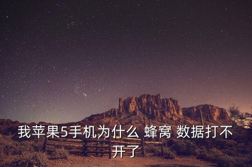 我蘋果5手機(jī)為什么 蜂窩 數(shù)據(jù)打不開(kāi)了