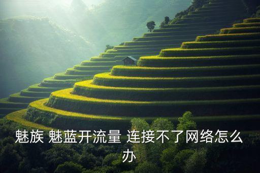 魅族 魅藍開流量 連接不了網(wǎng)絡怎么辦