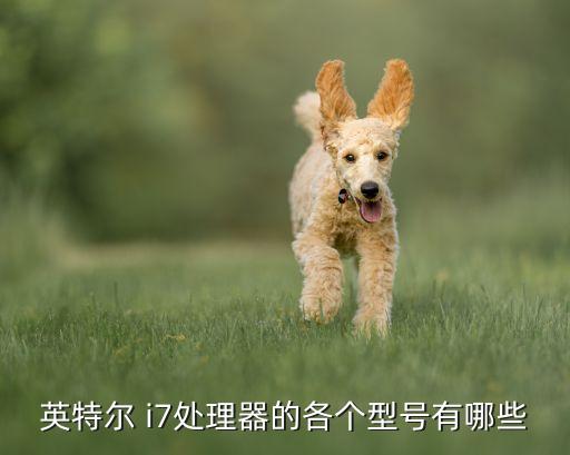 英特爾 i7處理器的各個(gè)型號有哪些