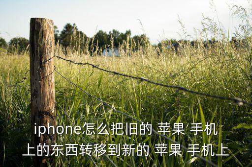 蘋果手機(jī)打開數(shù)據(jù)后轉(zhuǎn)