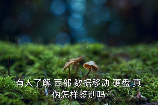 西部數(shù)據(jù)硬盤查真?zhèn)尾樵? /></a><a href=