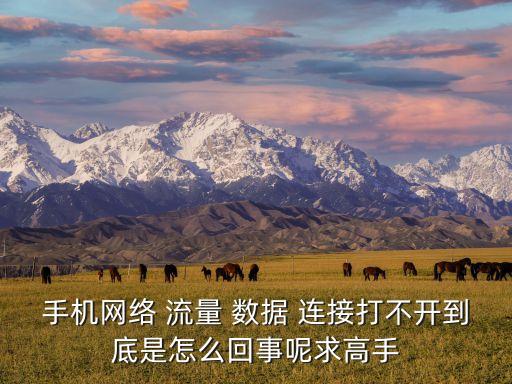 手機網(wǎng)絡(luò) 流量 數(shù)據(jù) 連接打不開到底是怎么回事呢求高手