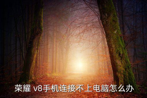 榮耀v8數(shù)據(jù)線接口,華為榮耀數(shù)據(jù)線接口是什么型號的