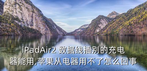 iPadAir2 數(shù)據(jù)線插別的充電器能用,蘋果從電器用不了怎么回事