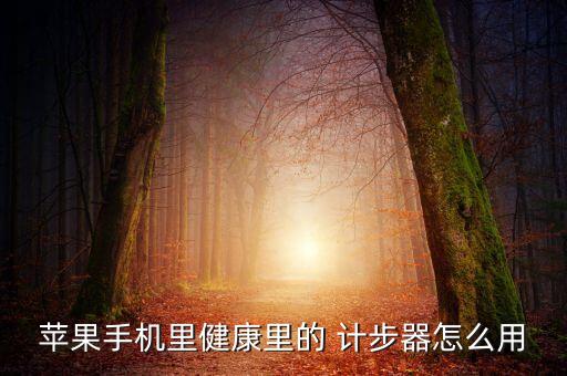 蘋果手機里健康里的 計步器怎么用